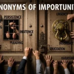 Synonyms of Importunity