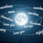 Synonyms of Moonlight