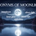 Synonyms of Moonlight
