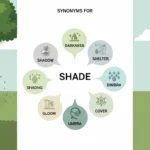 Synonyms for Shade