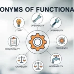 Synonyms of Functionality