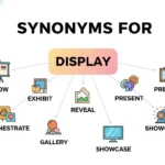 synonyms for display