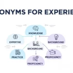 synonyms for experience