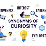 synonyms of curiosity