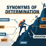 synonyms of determination