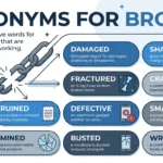 synonyms for broken
